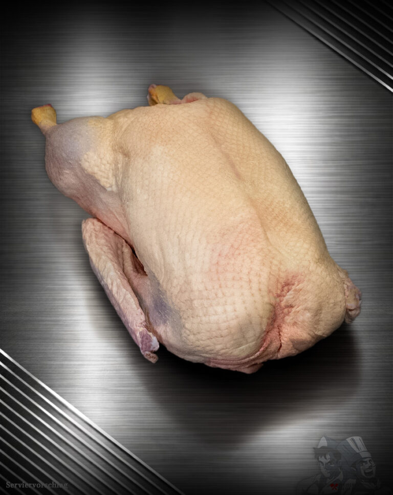 Gans aus Pommern Extra-Qualität roh, Premium-Geflügel vor metallischem Hintergrund