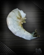 Black Tiger Garnelen 8/12 Easy-Peel: Der exklusive Genuss für Seafood-Liebhaber