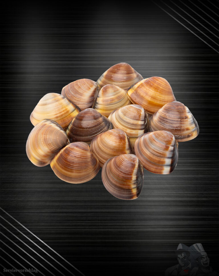 Venusmuscheln: Eine Reise in die Tiefen des Mittleren Westpazifiks!