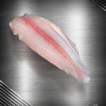 Rohes Pangasiusfilet, naturbelassen und zart