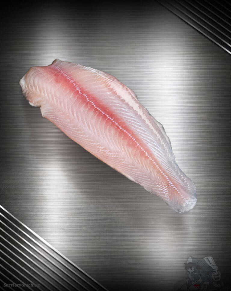 Rohes Pangasiusfilet, naturbelassen und zart