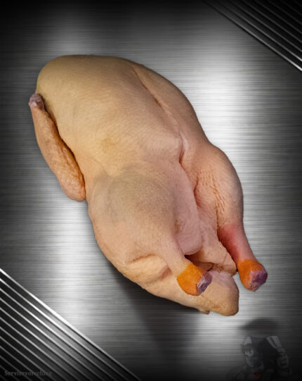 Ganze Ente aus Pommern roh, Premium-Geflügel edel inszeniert vor edlem Hintergrund